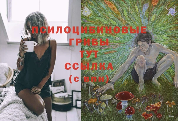 mdma Заволжье