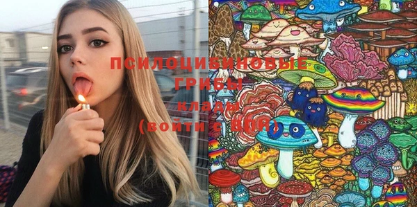 MDMA Заволжск