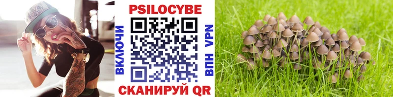 Псилоцибиновые грибы прущие грибы  Купить  Западная Двина 